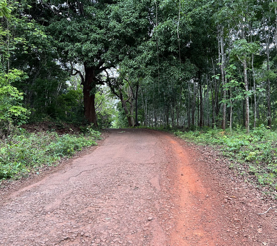 Maredumilli Manyam Resorts